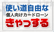 使い道自由な個人向けカードローン「きゃっする」