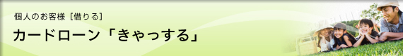 しんきんカードローン「きゃっする」